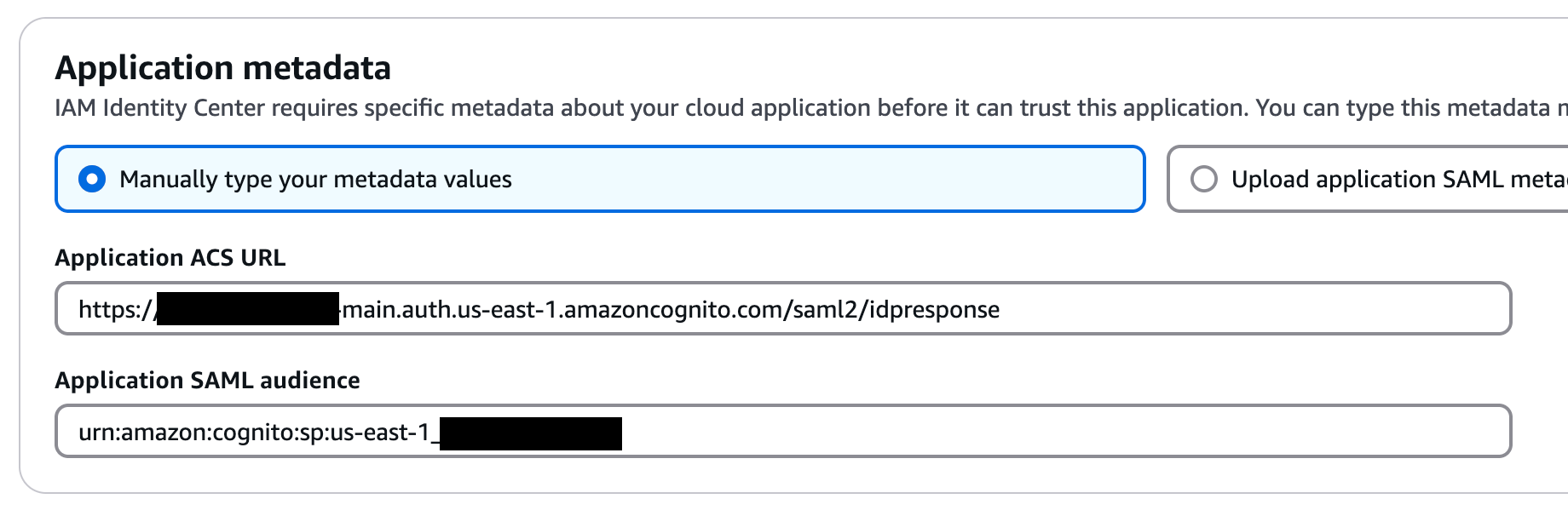 Application metadata